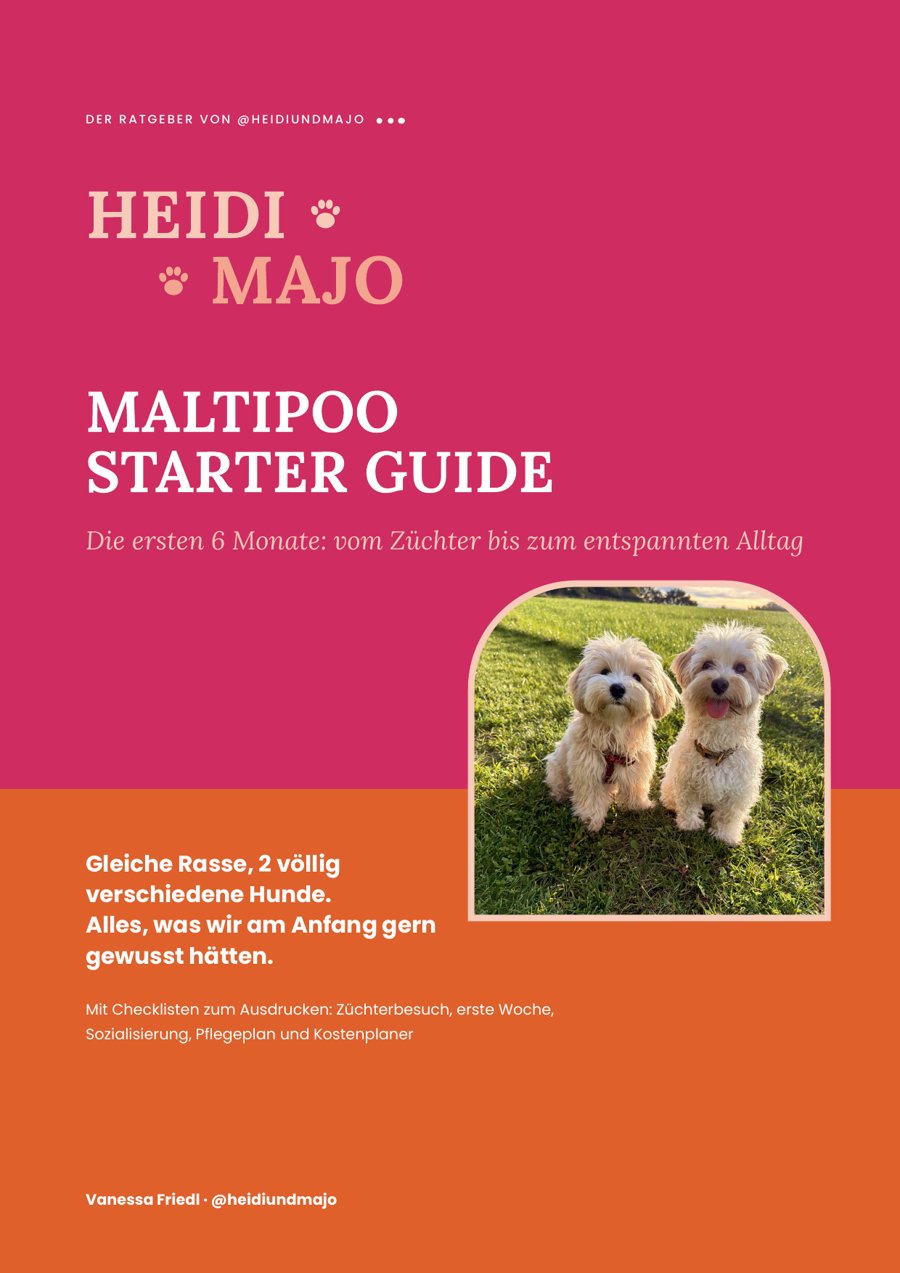Cover des Maltipoo Starter Guide mit Heidi und Majo auf einer Wiese
